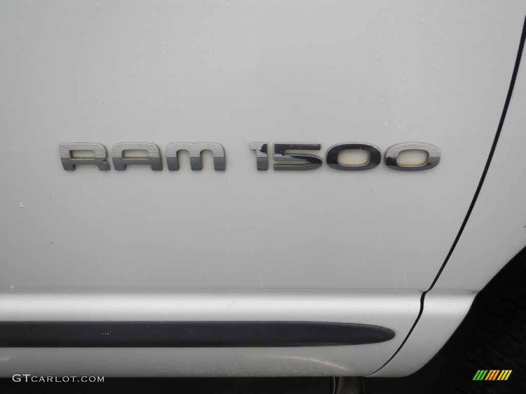 2002 Ram 1500 SLT Quad Cab - Bright White / Dark Slate Gray photo #15