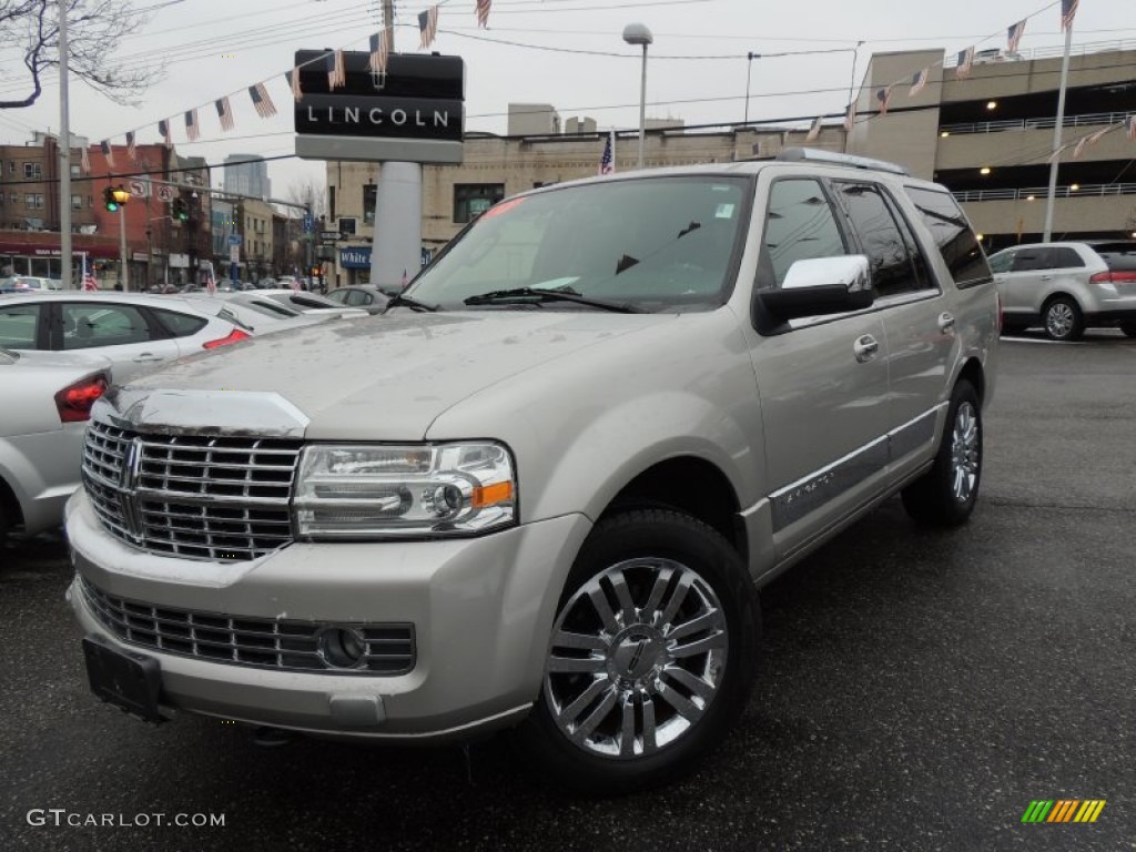 Silver Birch Metallic Lincoln Navigator