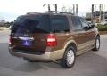 2011 Golden Bronze Metallic Ford Expedition XLT  photo #8