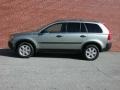 Willow Green Metallic - XC90 2.5T Photo No. 11