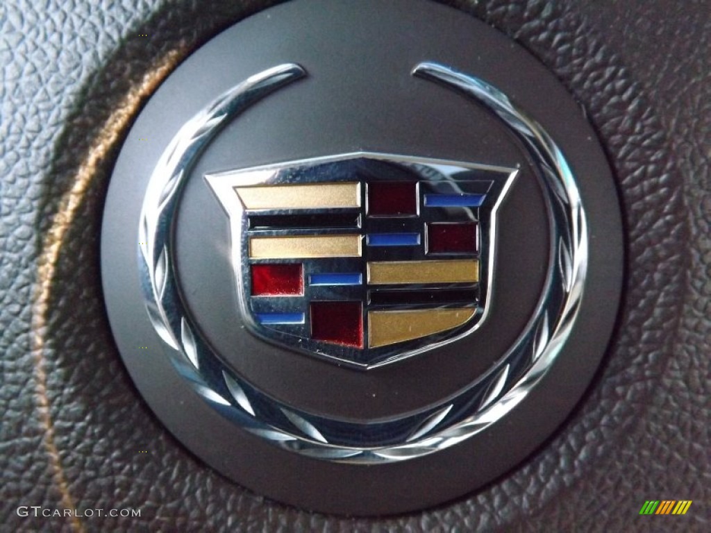 2010 Cadillac SRX V6 Marks and Logos Photo #76896252