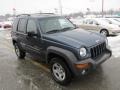 2002 Steel Blue Pearlcoat Jeep Liberty Sport 4x4  photo #9