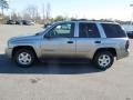 Light Pewter Metallic - TrailBlazer LT 4x4 Photo No. 3