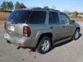 Light Pewter Metallic - TrailBlazer LT 4x4 Photo No. 5