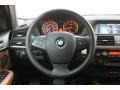 Saddle Brown Steering Wheel Photo for 2010 BMW X5 #76918905
