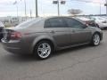 Carbon Bronze Metallic - TL 3.2 Photo No. 5