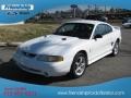 Ultra White - Mustang SVT Cobra Coupe Photo No. 3