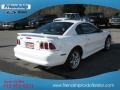 Ultra White - Mustang SVT Cobra Coupe Photo No. 7