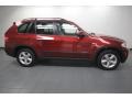 2010 Vermilion Red Metallic BMW X5 xDrive30i  photo #8