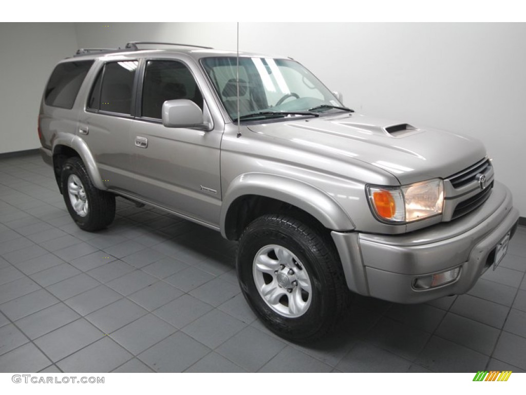 2002 4Runner SR5 4x4 - Thunder Cloud Metallic / Gray photo #9