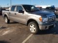 Sterling Gray Metallic 2012 Ford F150 XLT SuperCrew 4x4 Exterior