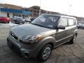 Titanium Gray 2013 Kia Soul 1.6 Exterior