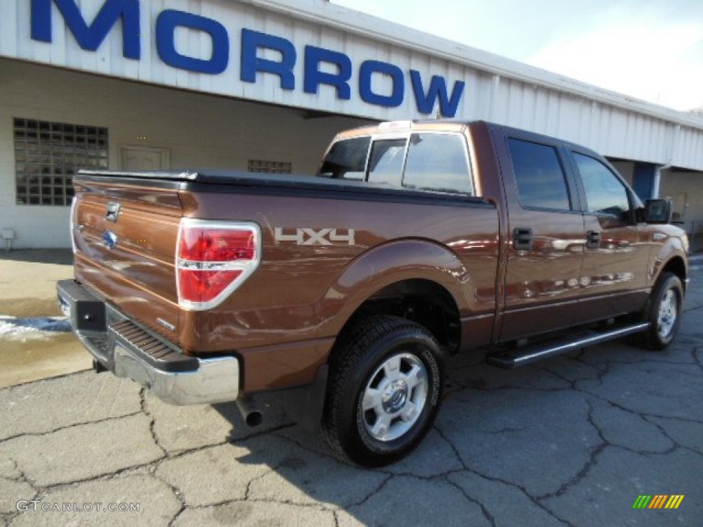 2011 F150 XLT SuperCrew 4x4 - Golden Bronze Metallic / Pale Adobe photo #8