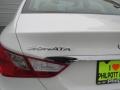 Shimmering White - Sonata GLS Photo No. 5