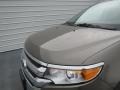 Mineral Gray Metallic - Edge SEL Photo No. 11