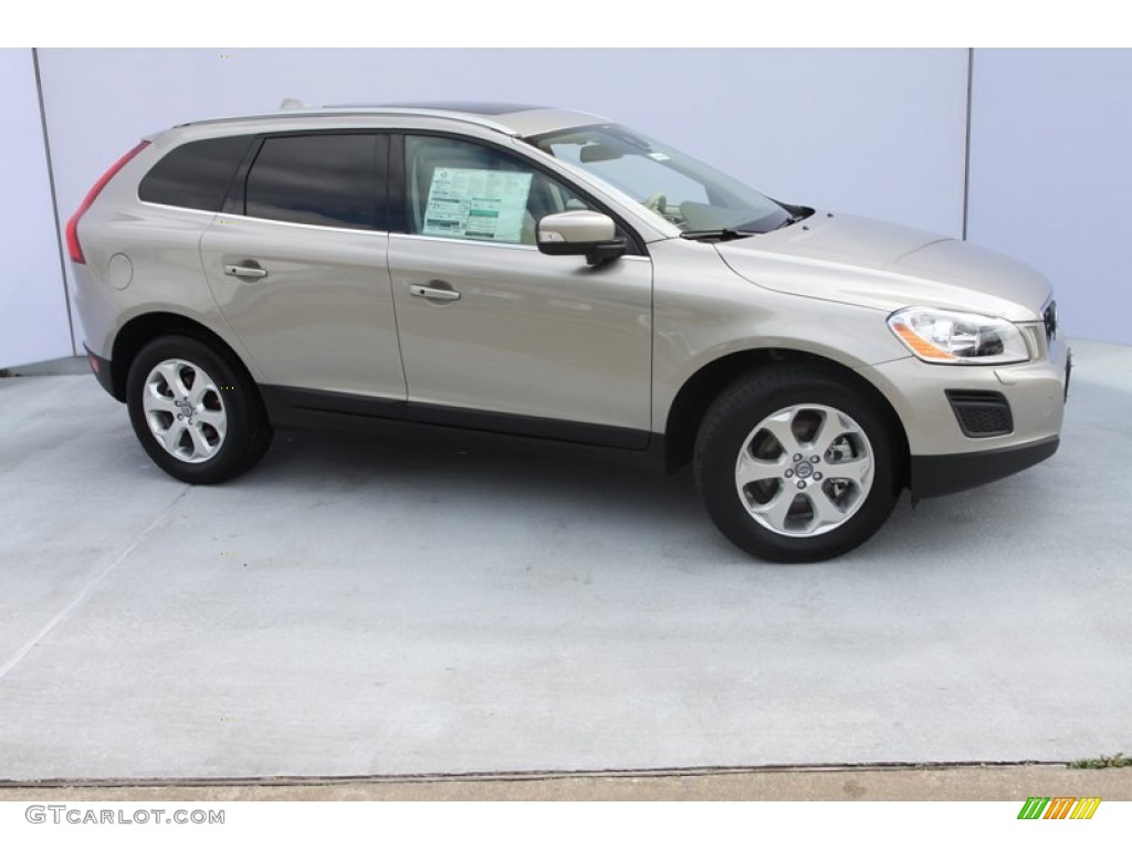 Seashell Metallic 2013 Volvo XC60 3.2 Exterior Photo #76944370