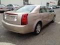 Sand Storm - CTS Sedan Photo No. 6