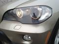 Platinum Bronze Metallic - X5 3.0si Photo No. 32