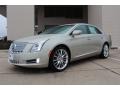 Silver Coast Metallic 2013 Cadillac XTS Platinum FWD