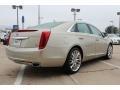 Silver Coast Metallic - XTS Platinum FWD Photo No. 4