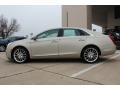 Silver Coast Metallic - XTS Platinum FWD Photo No. 5