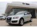 Ice Silver Metallic - Q5 2.0T quattro Photo No. 1