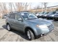 2010 Sage Green Metallic Subaru Forester 2.5 X Limited  photo #10