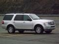 Ingot Silver Metallic - Expedition XLT Photo No. 8