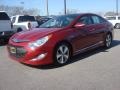 Venetian Red Pearl - Sonata Hybrid Photo No. 2