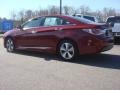 Venetian Red Pearl - Sonata Hybrid Photo No. 3