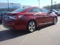 Venetian Red Pearl - Sonata Hybrid Photo No. 4