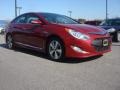Venetian Red Pearl - Sonata Hybrid Photo No. 5