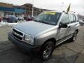 Silverleaf Metallic - Tracker LT 4WD Photo No. 4