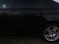 Nighthawk Black Pearl - TL 3.2 Photo No. 36
