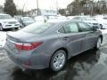 Nebula Gray Pearl - ES 350 Photo No. 4