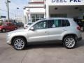 White Gold Metallic - Tiguan Wolfsburg Edition Photo No. 2