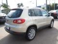 White Gold Metallic - Tiguan Wolfsburg Edition Photo No. 5
