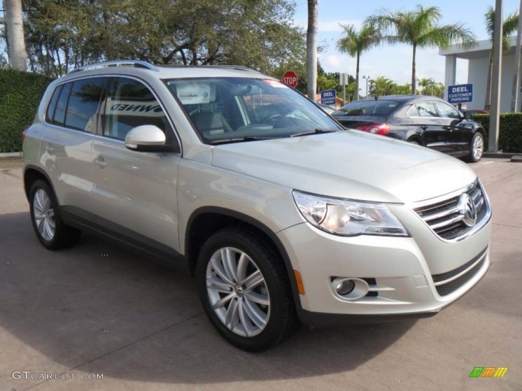 White Gold Metallic 2010 Volkswagen Tiguan Wolfsburg Edition Exterior Photo #76993152