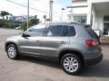 2009 Alpine Grey Metallic Volkswagen Tiguan SEL 4Motion  photo #2