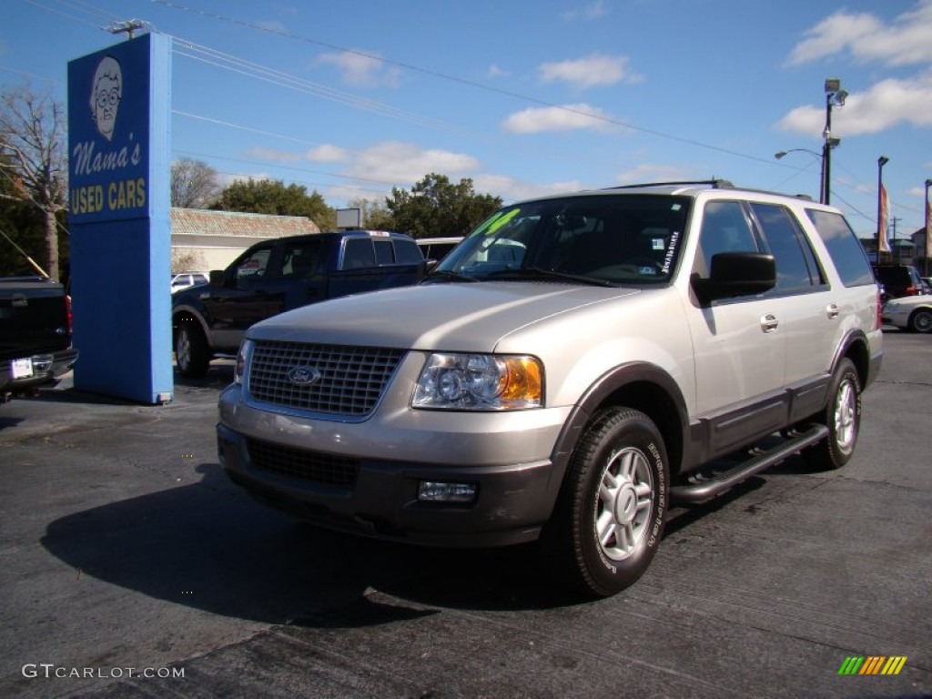 Silver Birch Metallic Ford Expedition