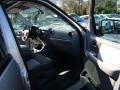 2004 Silver Birch Metallic Ford Expedition XLT  photo #13