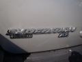 2004 Silver Birch Metallic Ford Expedition XLT  photo #31