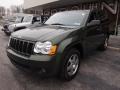 Jeep Green Metallic - Grand Cherokee Laredo 4x4 Photo No. 2