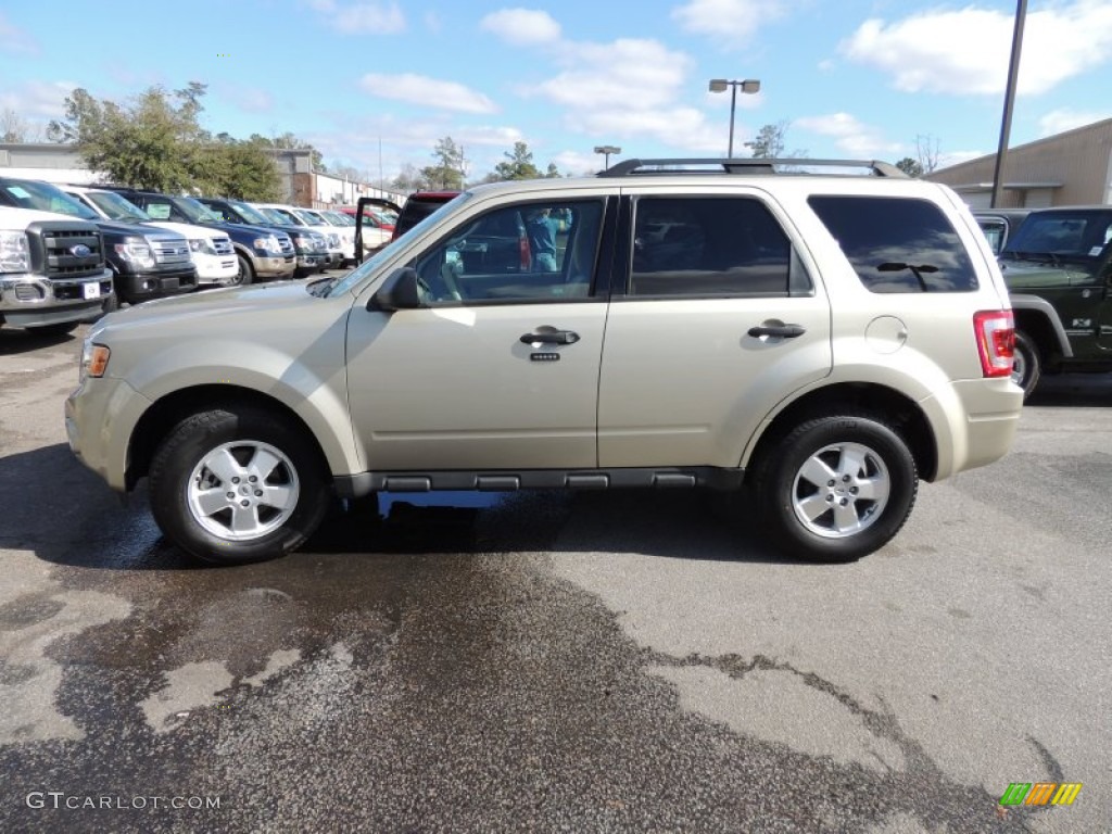 Gold Leaf Metallic 2012 Ford Escape XLT V6 Exterior Photo #77001258