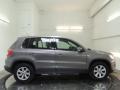 Alpine Grey Metallic - Tiguan S 4Motion Photo No. 7