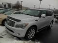 Liquid Platinum - QX 56 4WD Photo No. 3