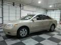 Desert Sand Metallic - Camry LE Photo No. 4