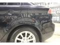 Tarmac Black Pearl - Lancer ES Photo No. 12