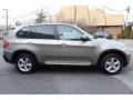 Platinum Bronze Metallic 2010 BMW X5 xDrive30i Exterior