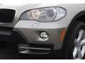 Platinum Bronze Metallic - X5 xDrive30i Photo No. 30